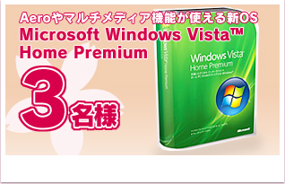 Microsoft Windows Vista TM Home Premium 