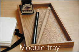 Module Tray