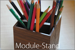 Module Stand