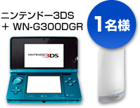 jeh[3DS { WN-G300DGRyPlz