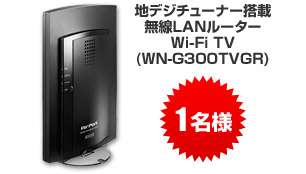 nfW`[i[ LAN[^[ Wi-Fi TV iWN-G300TVGRj
