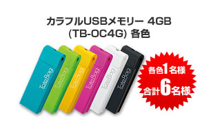 JtUSB[ 4GB iTB-OC 4GBj eF
