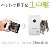 有線/無線LAN対応ネットワークカメラ「Qwatch」
