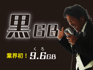 ƊEI 9.6GB(NMKoCgjځB