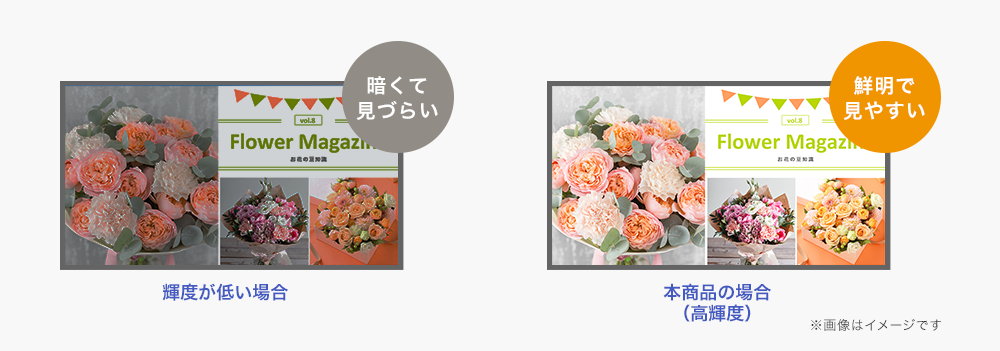 邢ł₷IPxfBXvC