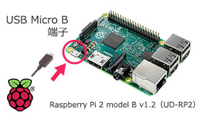 Raspberry