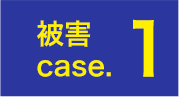 Qcase.1