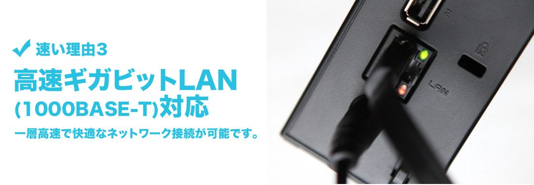 MKrbgLAN(1000BASE-T)Ή