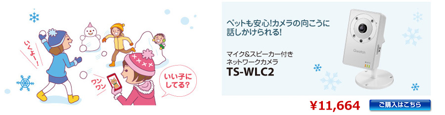 マイク＆スピーカー付きネットワークカラ TS-WLC2